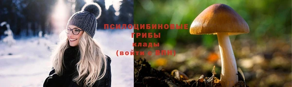 ECSTASY Новозыбков
