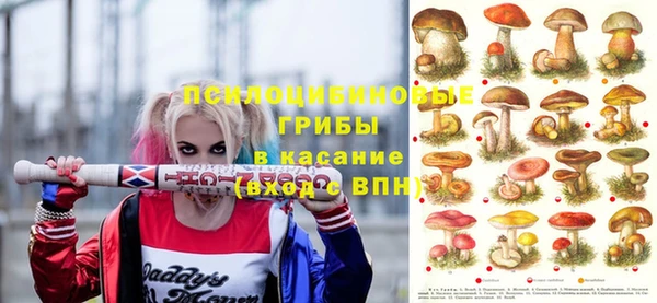 не бодяженный Новодвинск