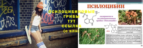 ECSTASY Новозыбков