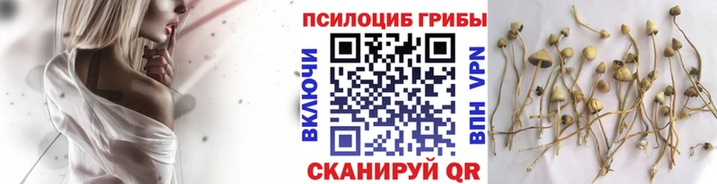 Галлюциногенные грибы ЛСД Приморск